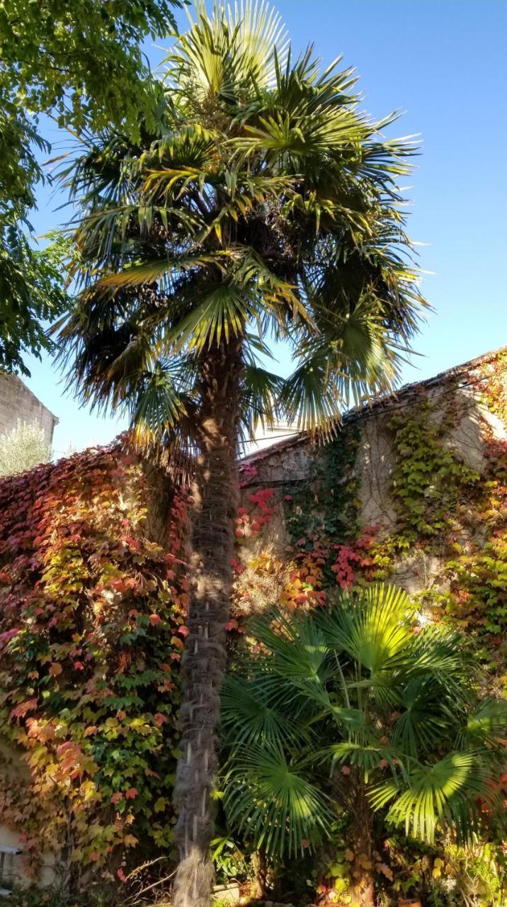 La Maison Blanche Blaye Dış mekan fotoğraf